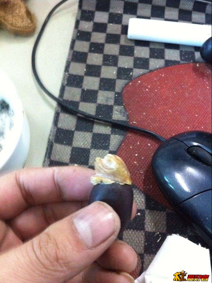 粗修成形