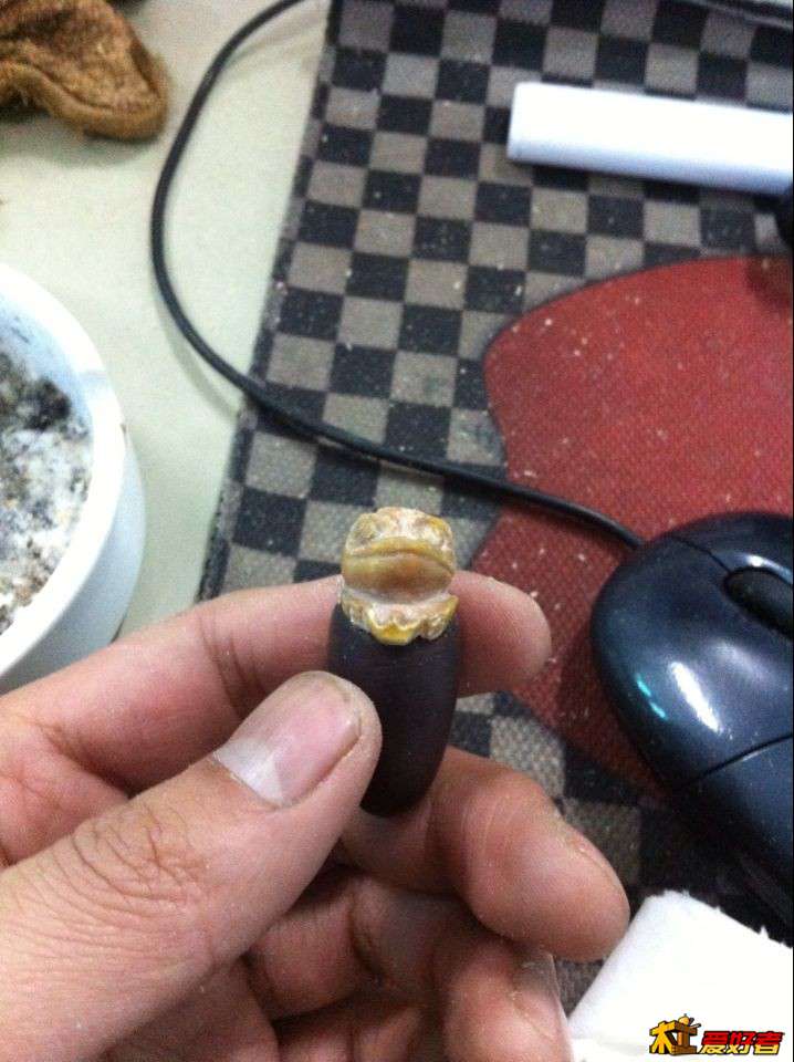 粗修成形