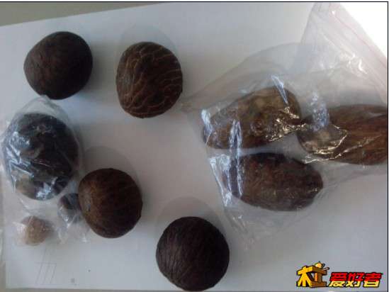 全部的象牙果集合了