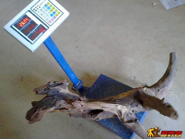 20131125485.jpg