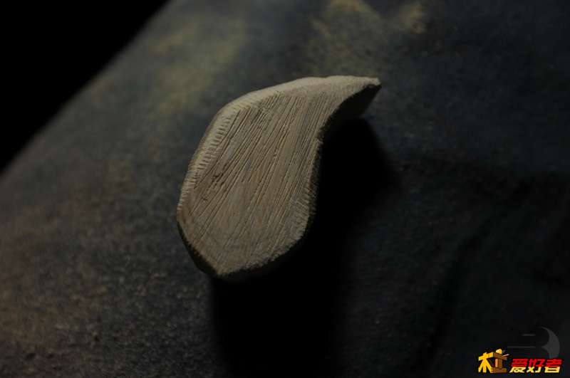 DSCF2830.jpg