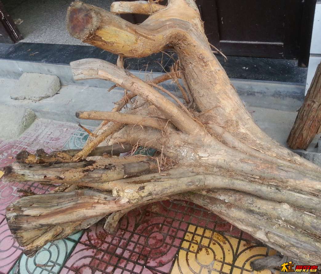 什么木头？