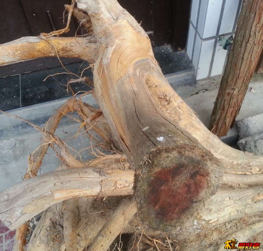 ？？
