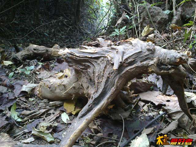 挖了一个