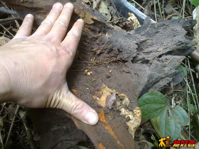 20140104578.jpg