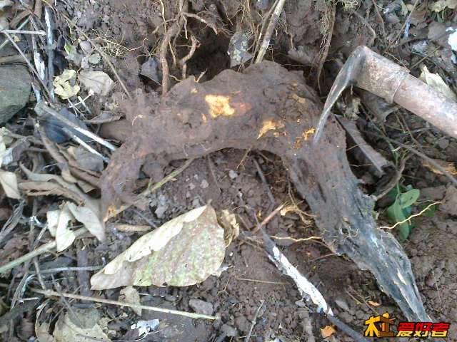 20140104577.jpg