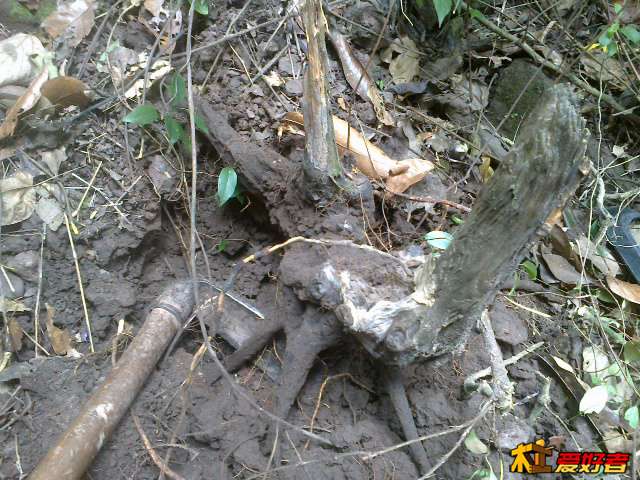 20131001382.jpg