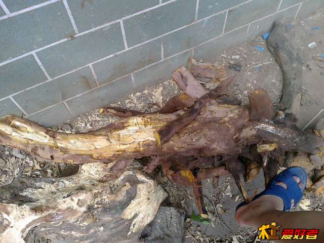 20130908324.jpg
