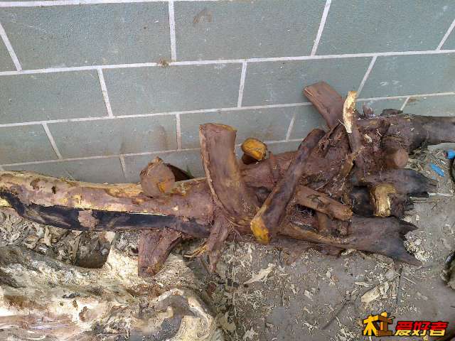 20130908323.jpg