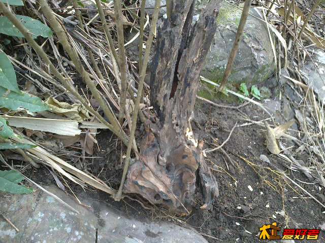 20131222517.jpg