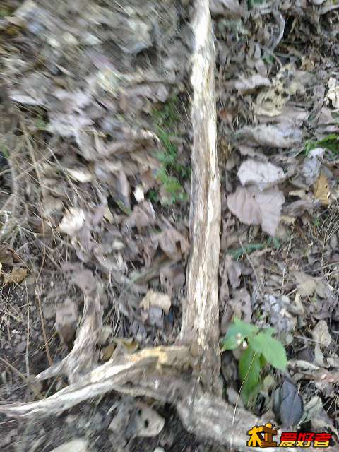 20131222518.jpg