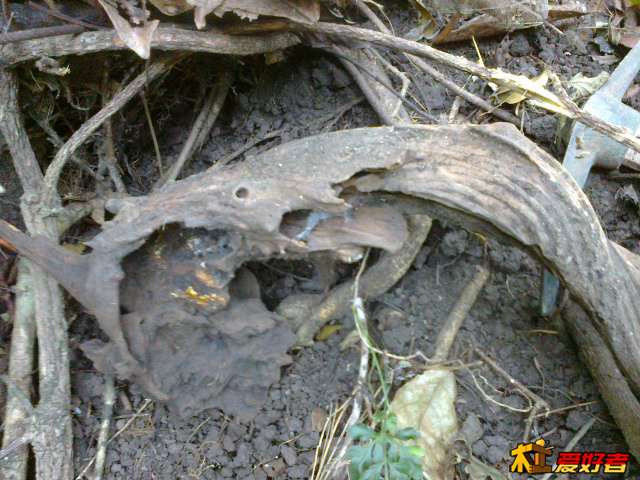 20131019447.jpg