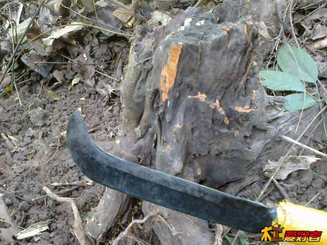 20131019448.jpg