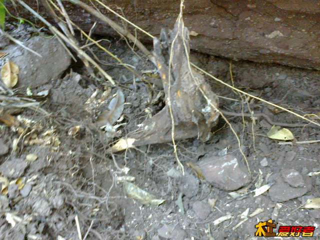 20131019450.jpg