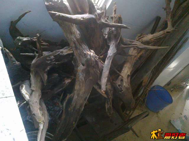 20131021456.jpg