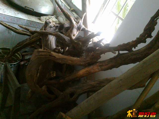 20131021457.jpg