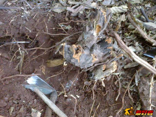 20131123479.jpg