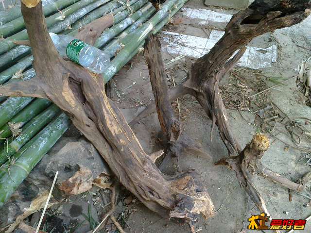 20131125482.jpg
