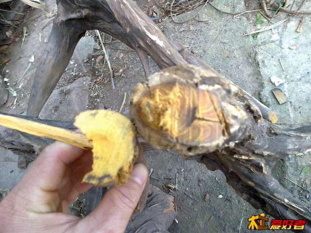 20131125483.jpg