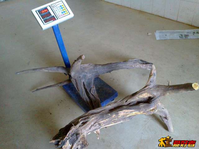 20131125486.jpg