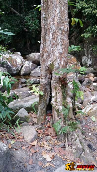 20140114_123759.jpg