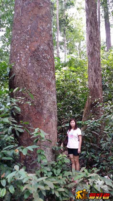 20140114_124857.jpg