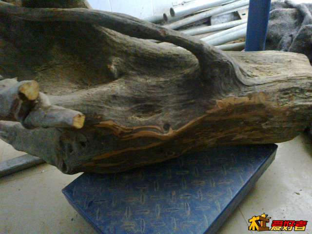 20140115613.jpg