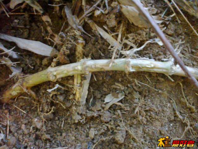 20140123664.jpg