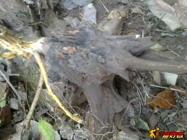20140122653.jpg