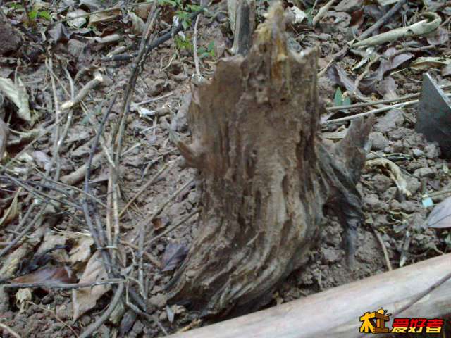 20140122654.jpg