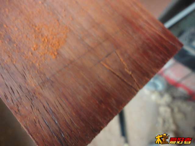 DSC07980.JPG