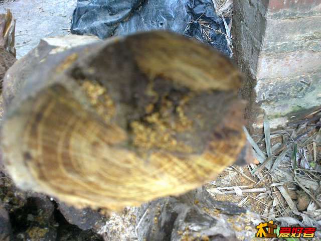 20140112607.jpg