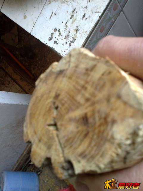20140115618.jpg
