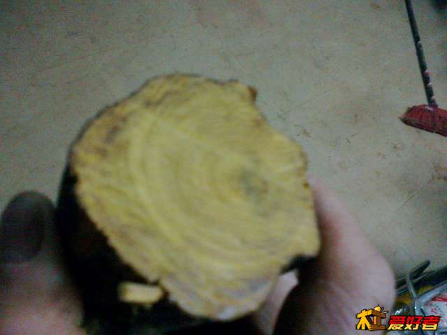 20140120636.jpg