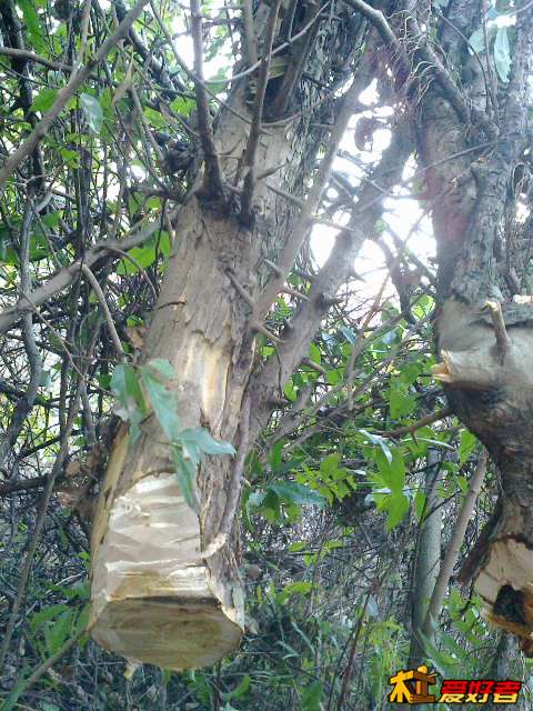 20140121646.jpg