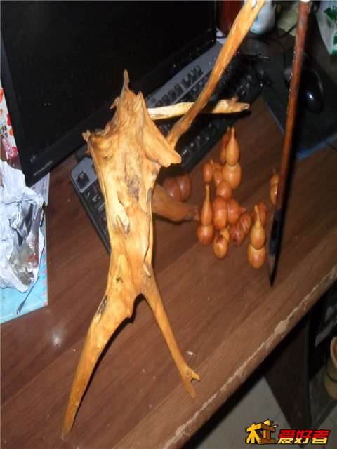 SDC12371.JPG