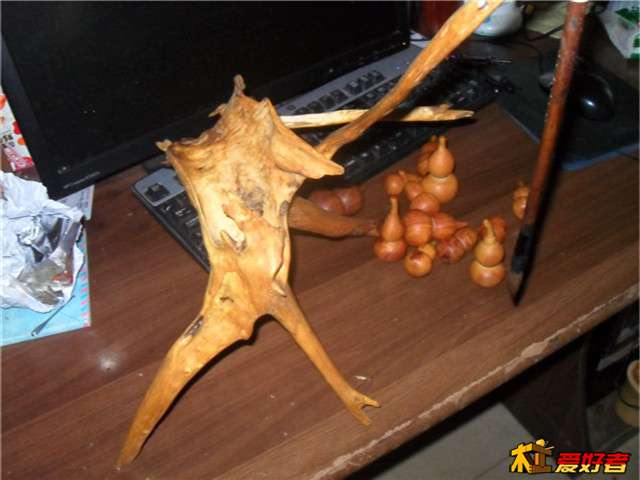 SDC12371.JPG