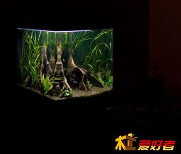 立方缸 效果1.jpg