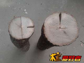 2014-01-15 16.45.56.jpg