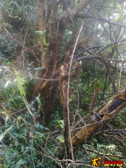 20131128487.jpg