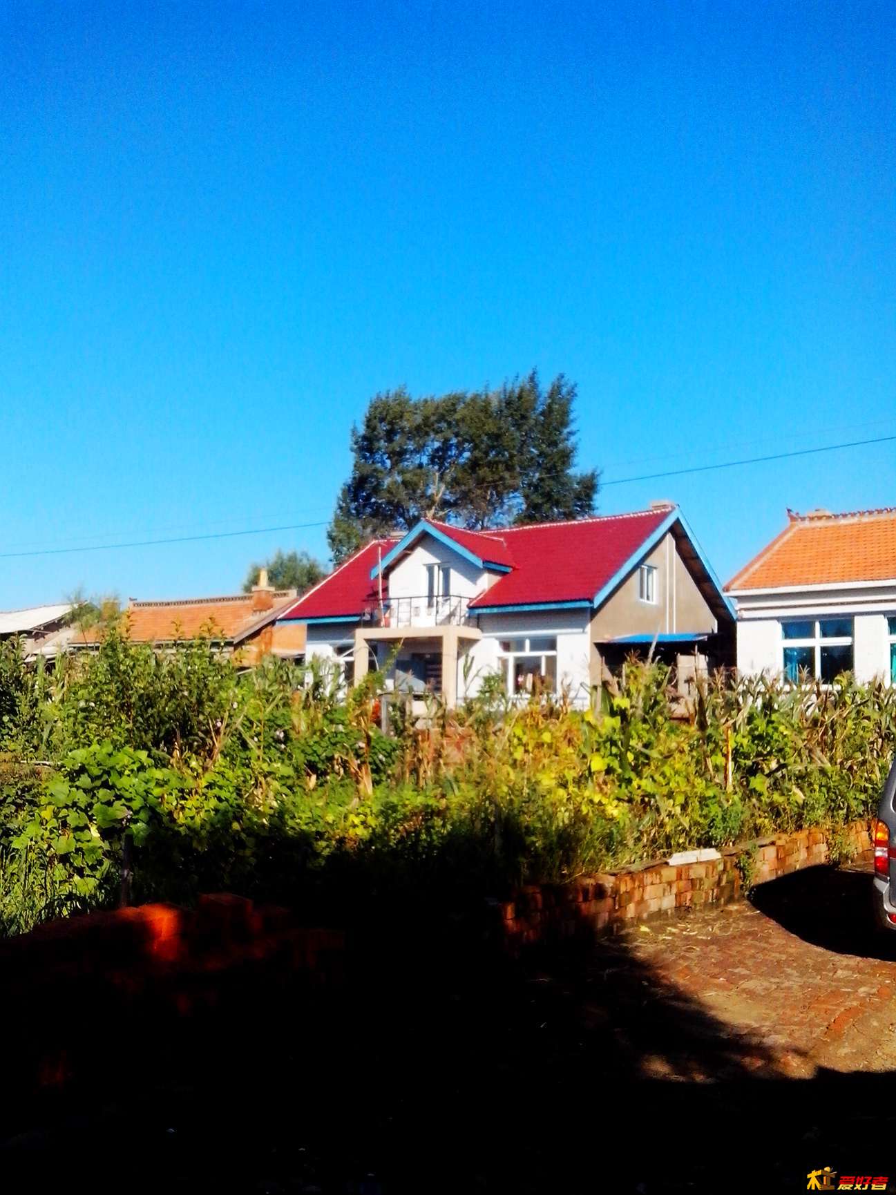 IMG_20130823_072944_副本.jpg