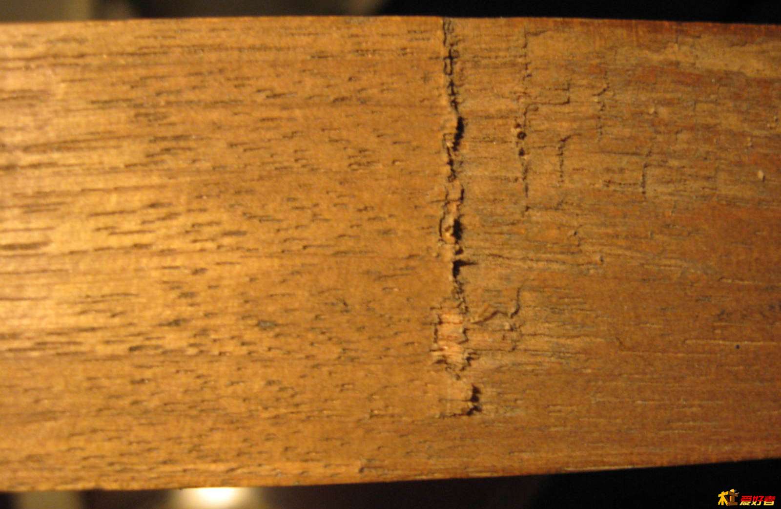 IMG201403050950.JPG