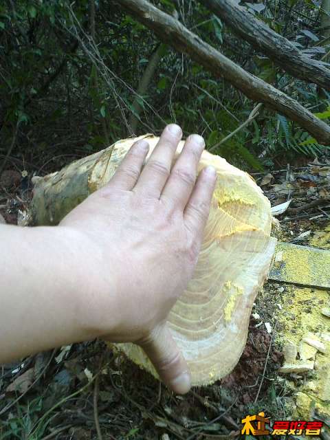 20140121645.jpg