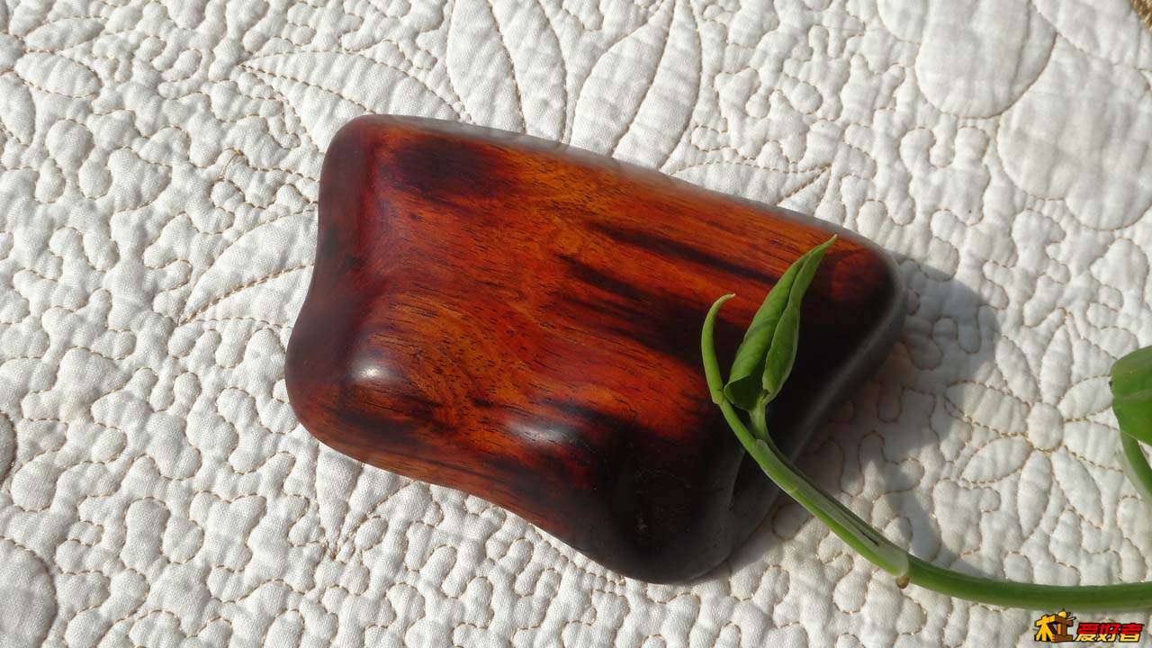 背面