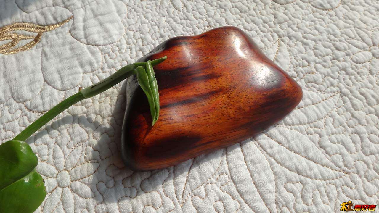 背面