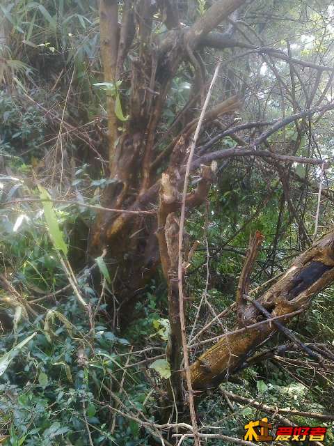 20131128487.jpg
