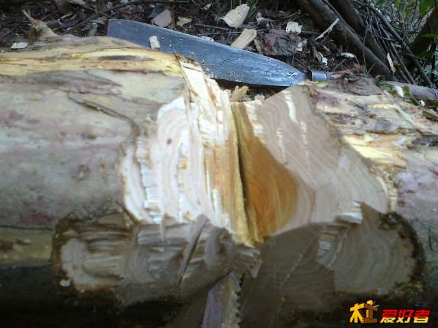 20140121644.jpg