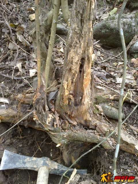 20140126683.jpg