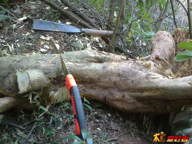 20140121643.jpg