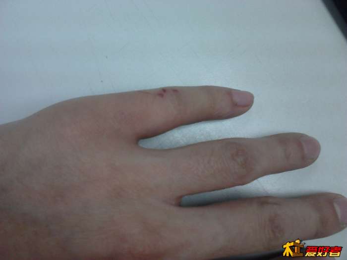 IMG01373.jpg